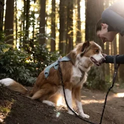 Ruffwear Web Master Hundsele Blågrön