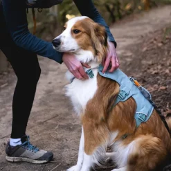 Ruffwear Web Master Hundsele Blågrön