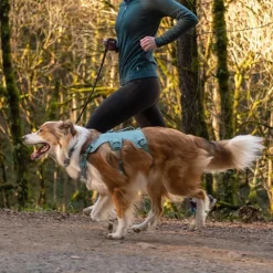 Ruffwear Web Master Hundsele Blågrön