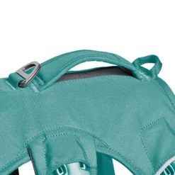 Ruffwear Web Master Hundsele Blågrön