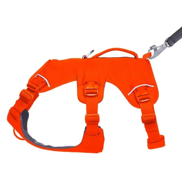 Ruffwear Web Master Hundsele Orange