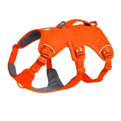 Ruffwear Web Master Hundsele Orange