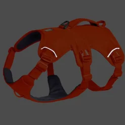Ruffwear Web Master Hundsele Orange
