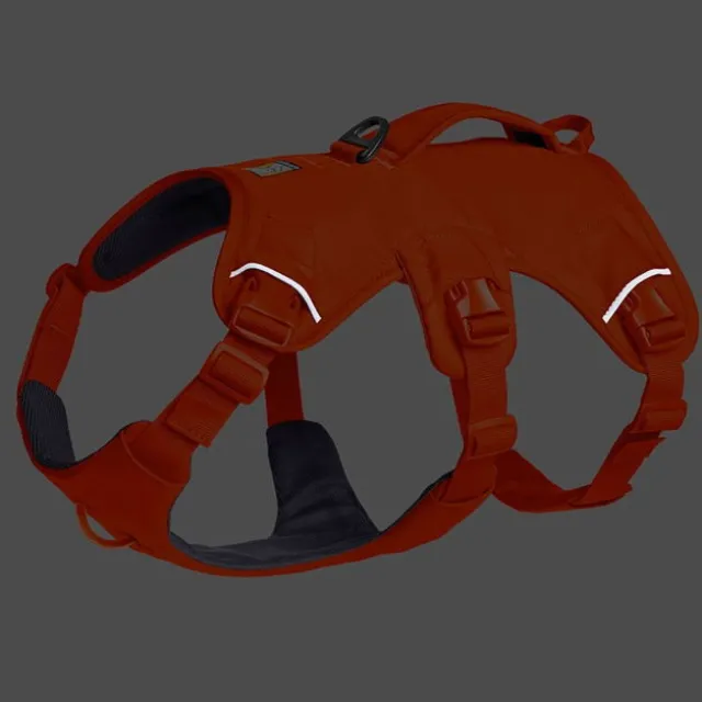 Ruffwear Web Master Hundsele Orange