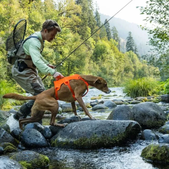 Ruffwear Web Master Hundsele Orange
