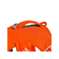 Ruffwear Web Master Hundsele Orange
