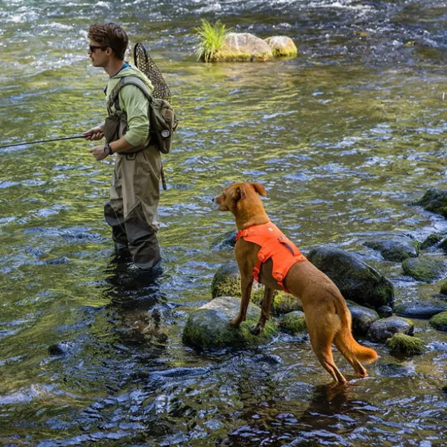 Ruffwear Web Master Hundsele Orange