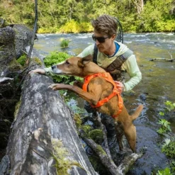 Ruffwear Web Master Hundsele Orange