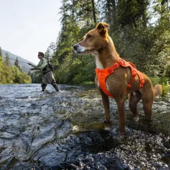 Ruffwear Web Master Hundsele Orange