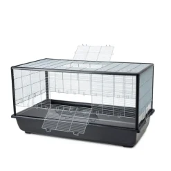 Savic Aura Plexi 120 Bur till Små Gnagare