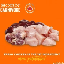 Schesir Cat Adult Born Carnivore Chicken & Egg