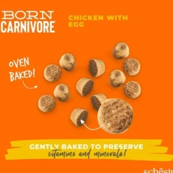 Schesir Cat Adult Born Carnivore Chicken & Egg