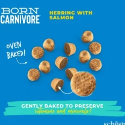 Schesir Cat Adult Born Carnivore Herring & Salmon