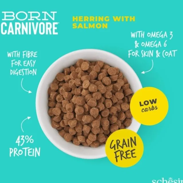 Schesir Cat Adult Born Carnivore Herring & Salmon
