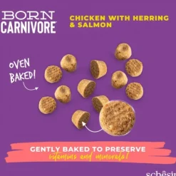 Schesir Cat Adult Born Carnivore Chicken, Herring & Salmon