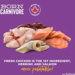 Schesir Cat Adult Born Carnivore Chicken, Herring & Salmon