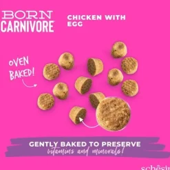 Schesir Kitten Born Carnivore Chicken & Egg