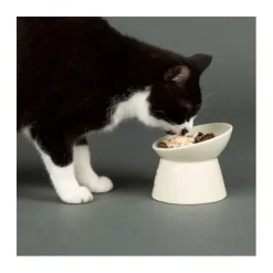 Scruffs Icon Upphöjd Matskål för Katt Vit