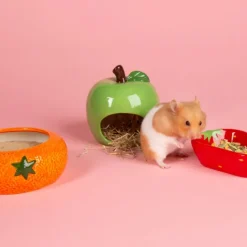 Scruffs Keramikskålar till Smådjur Frukter 3-pack