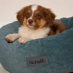 Scruffs Oslo Rund Hundbädd Turkos 75 cm