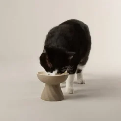 Scruffs Zen Upphöjd Matskål till Katt Brun