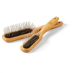Show Dog Grooming Piggborste
