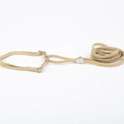 Show Dog Show Lead Halvstryp, Beige