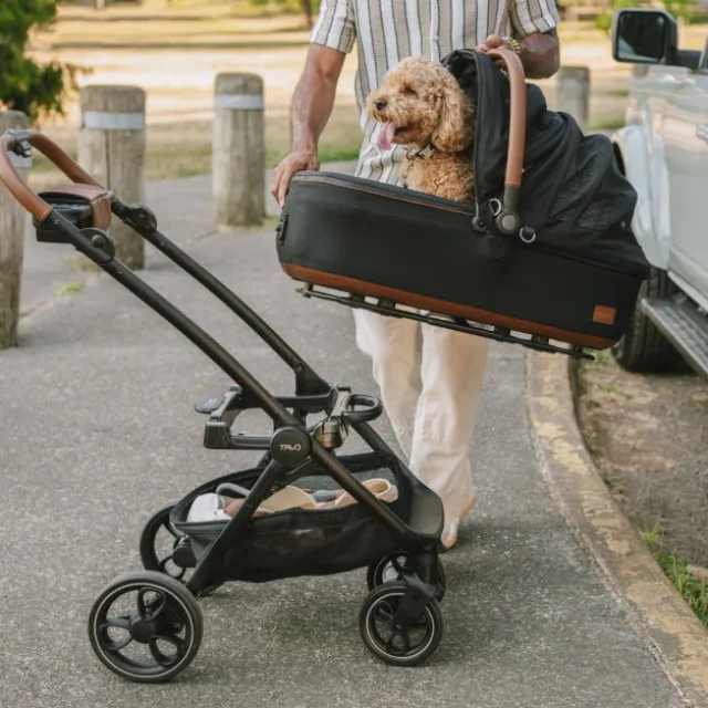 Tavo Roscoe Trek Ram för Vagn till Hund & Katt