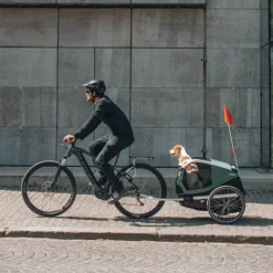 Thule Bexey Cykelvagn till Hund Grön
