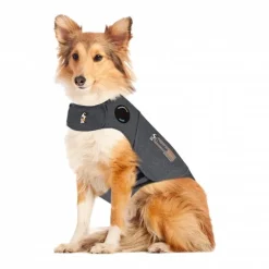 Thundershirt till Hund