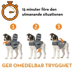 Thundershirt till Hund
