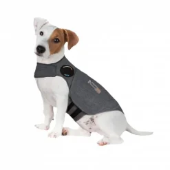 Thundershirt till Hund