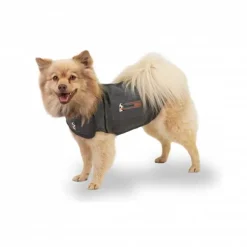 Thundershirt till Hund