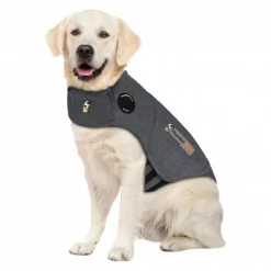 Thundershirt till Hund