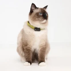 Tickless Mini Cat Elektronisk Fästingavvisare