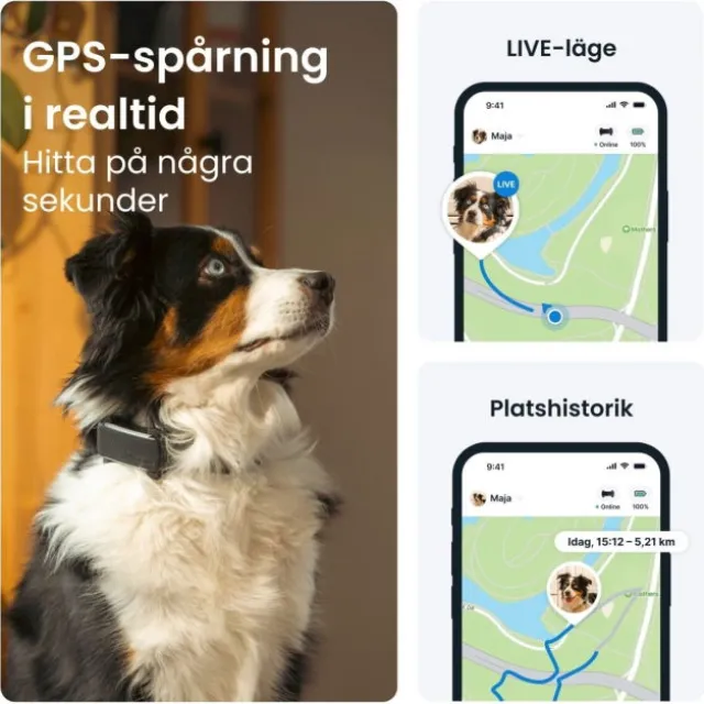 Tractive Dog 6 GPS Hund Svart