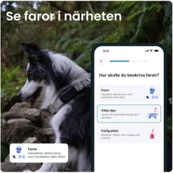 Tractive Dog 6 GPS Hund Svart