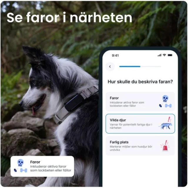 Tractive Dog 6 GPS Hund Svart