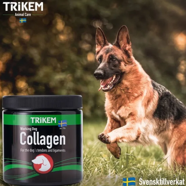 Trikem Working Dog Collagen 350 g