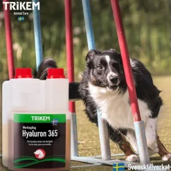 Trikem Working Dog Hyaluron 365