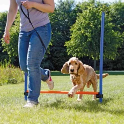 Trixie Agility Hopphinder 123 x 115 cm
