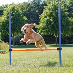 Trixie Agility Hopphinder 123 x 115 cm