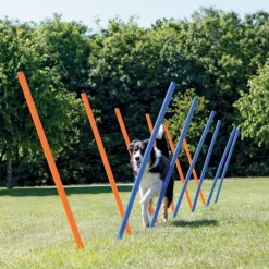 Trixie Agility Slalompinnar 12-pack