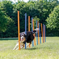 Trixie Agility Slalompinnar 12-pack