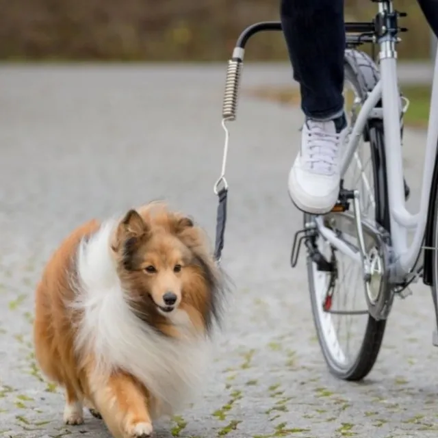 Trixie Biker-Set L-form för Cykel