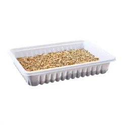 Trixie Kattgräs/Gnagargräs i Låda 100 g