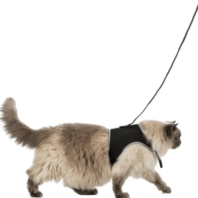 Trixie Kattsele med Koppel XL