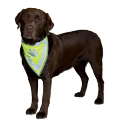 Trixie Säkerhetsscarf Med Reflex