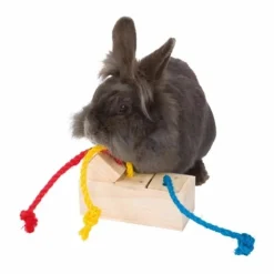 Trixie Snack Cube Leksak till Gnagare & Fåglar Trä 16 × 6 × 7 cm