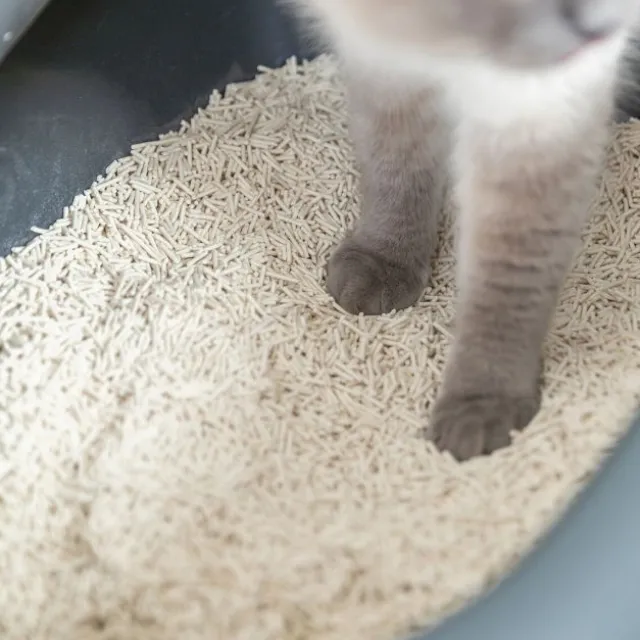 Trixie Tofu Kattsand